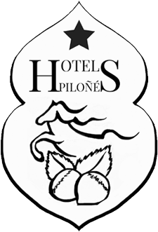 Hotel Piloñes