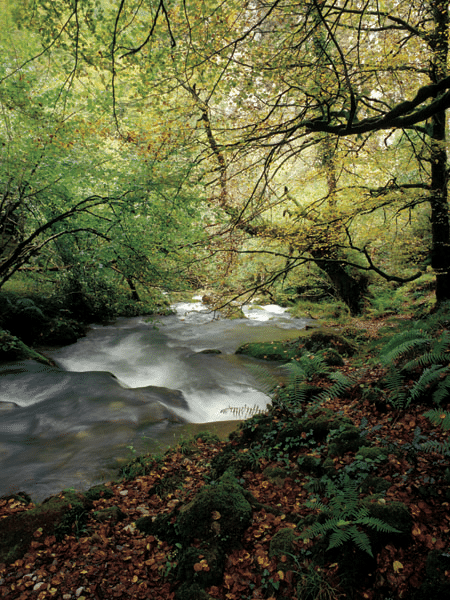 Naturaleza Espinaréu: Rio del Infierno y La Pesanca