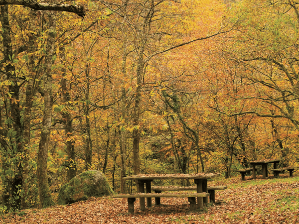 Naturaleza Espinaréu: Rio del Infierno y La Pesanca